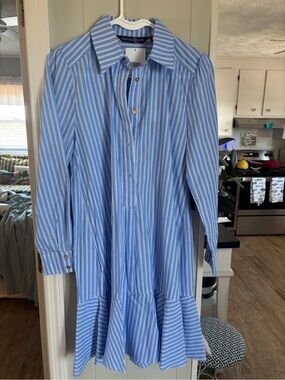 Duffield Lane Blue and White Striped Button-Front Shirt Dress